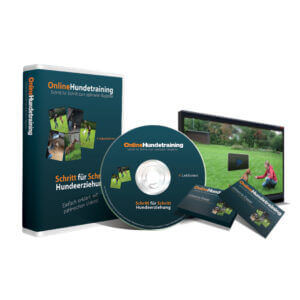 Online Hundetraining mit Johanna Esser Erfahrungen