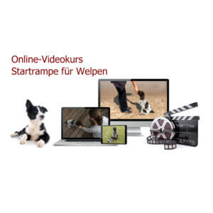 Startrampe für Welpen Online Kurs von Celina del Amo Erfahrungen