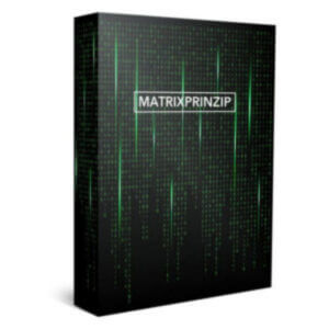 MATRIXPRINZIP Coaching Erfahrungen