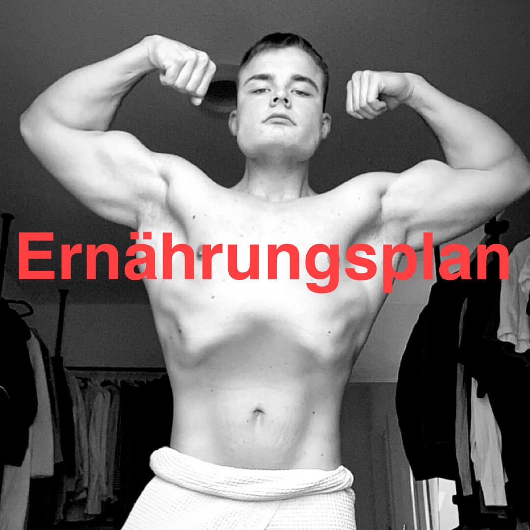 Ernährungsplan von Ehrenmannrius / Paul Völcker Erfahrungen