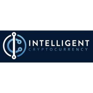 Intelligent Cryptocurrency by Dirk de Bruin Review
