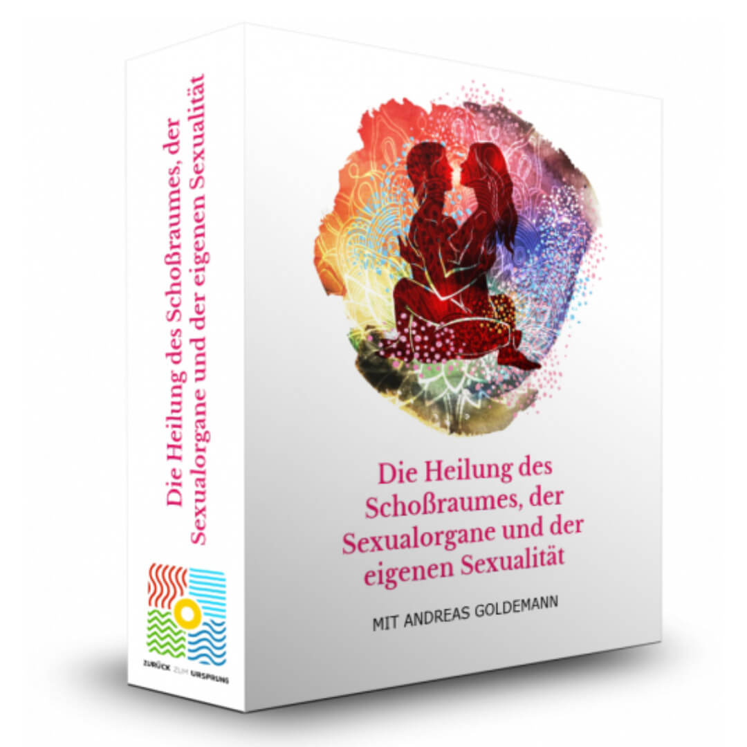 Die Heilung des Schoßraums von Andreas Goldemann Erfahrungen