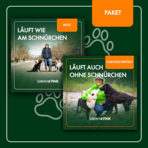 Leinenführigkeit & Rückruf von Sarah Fink Erfahrungen