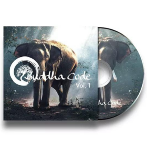 Buddha Code Vol 1 Hörbuch Erfahrungen