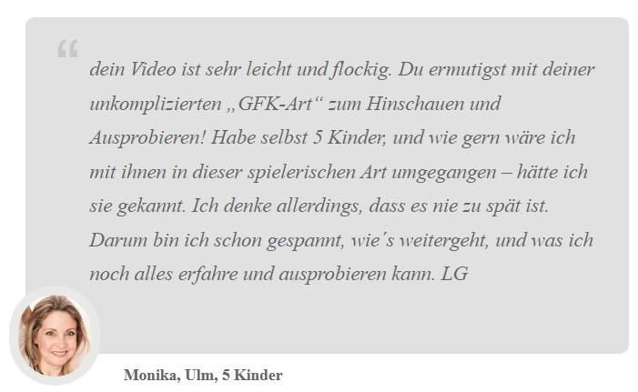 Konfliktnavigator-bewertung-monika-test