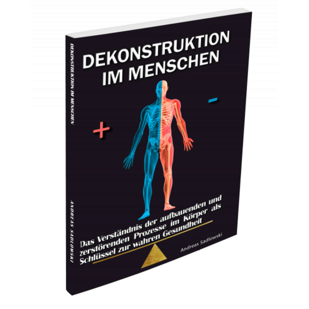 Dekonstruktion im Menschen – Buch von Andreas Sadlowski