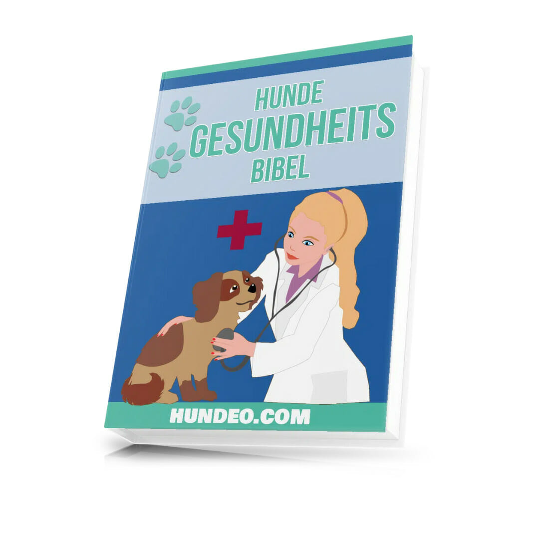 Hunde Gesundheits Bibel Buch von Hundeo Testbericht