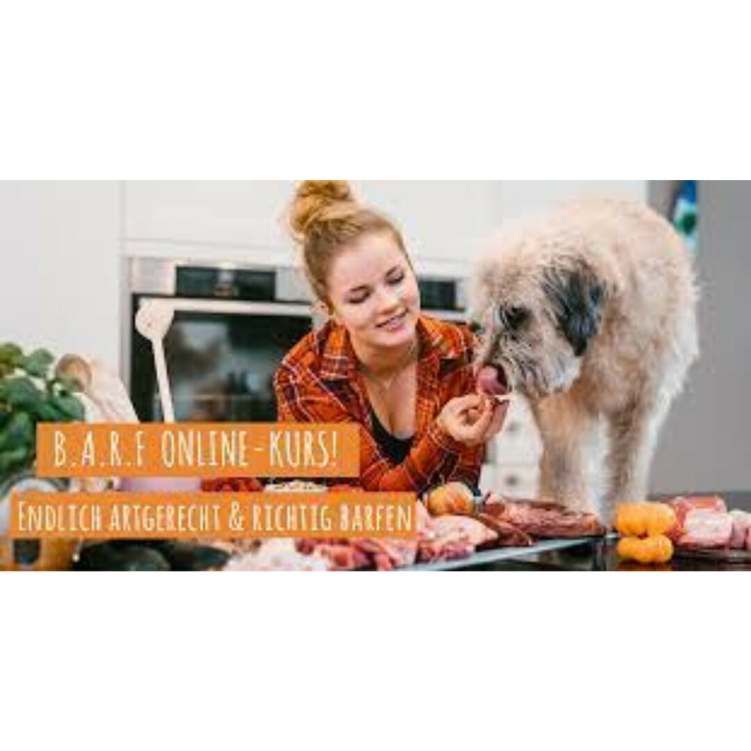 Dogtisch Academy