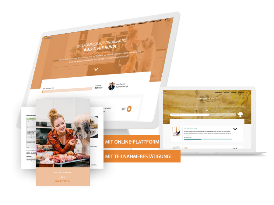 barf-online-kurs-einblick-kritik