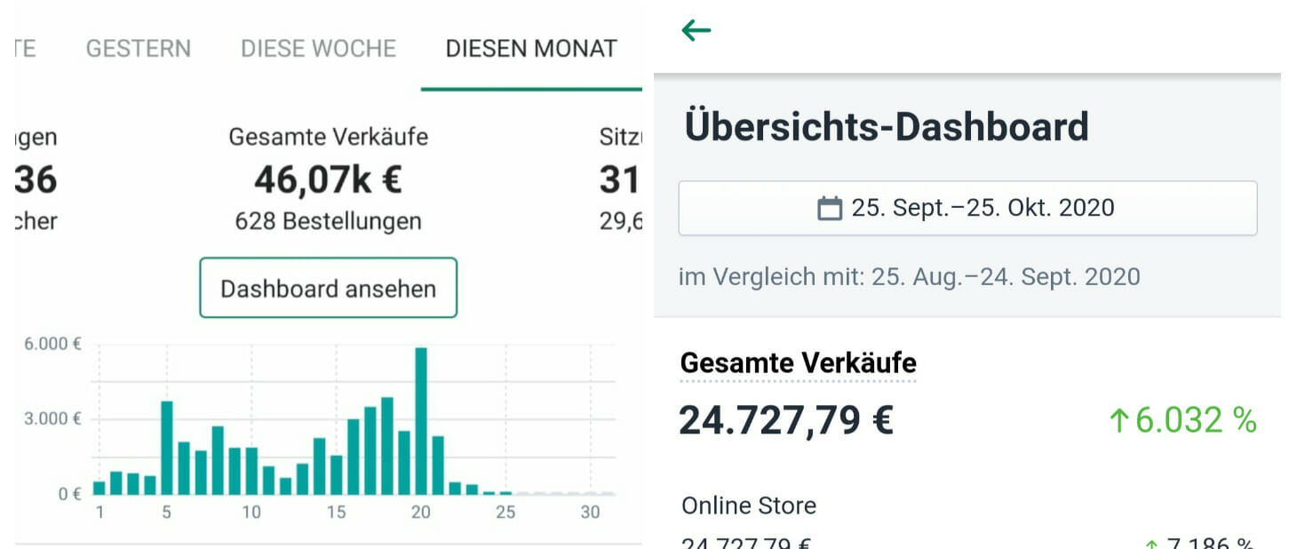 VIP-Level-Up-Ecom-Club-von-felix-stephany-ergebnisse-testbericht