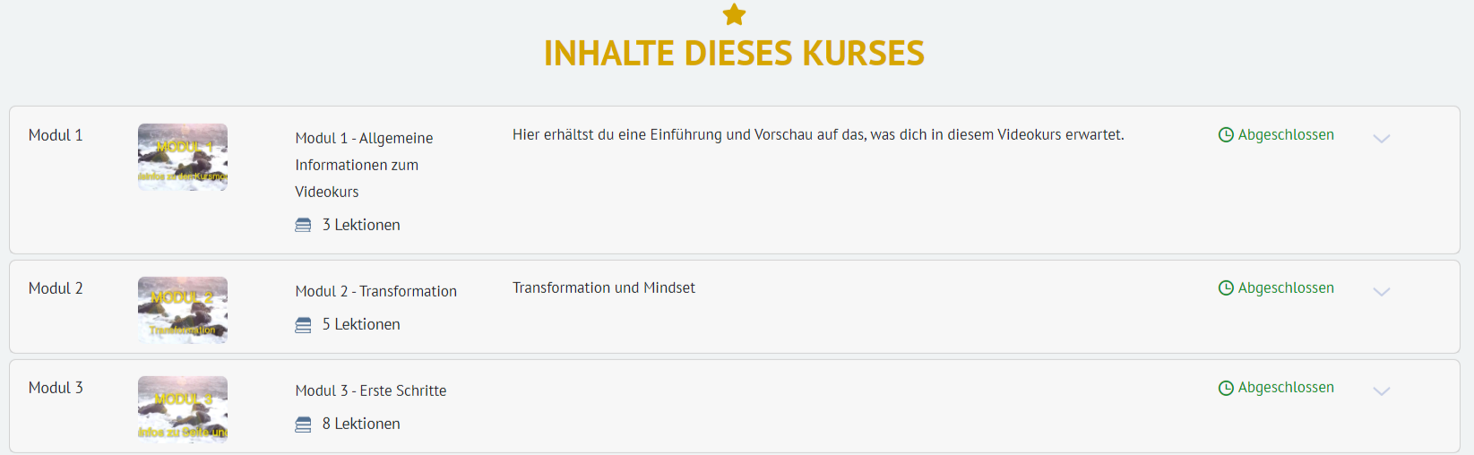 wolf-masterclass-videokurs-dashboard-testbericht