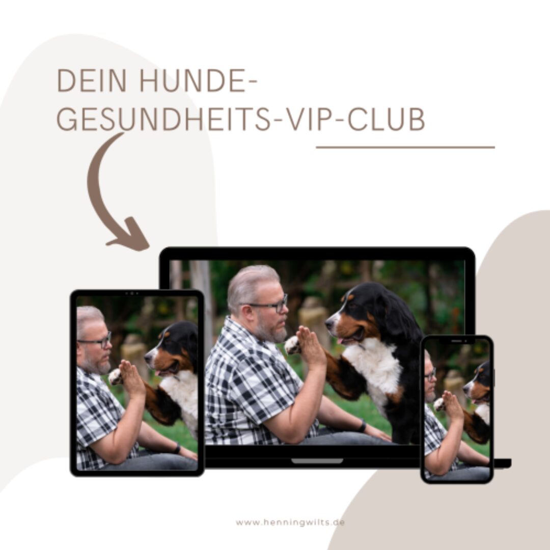 Hunde-Gesundheits-VIP-Club-von-Henning-Wilts-erfahrungen