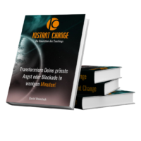 Instant Change Buch Erfahrungen von Daniel Weinstock