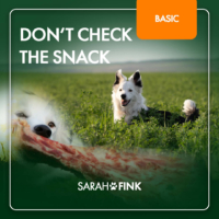 Don´t Check The Snack Kurs Erfahrungen von Sarah Fink