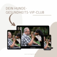 Hunde Gesundheits VIP Club Erfahrungen