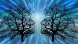 NLP – Was ist das?